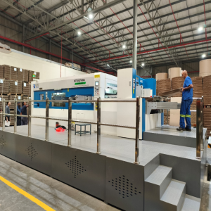 BETTERCUT 1650Q High-Speed Die-Cutter Powers Up at Leading South African Carton Factory